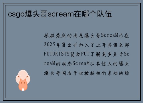 csgo爆头哥scream在哪个队伍