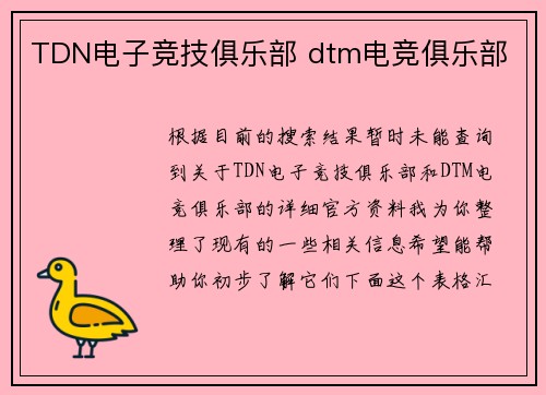 TDN电子竞技俱乐部 dtm电竞俱乐部